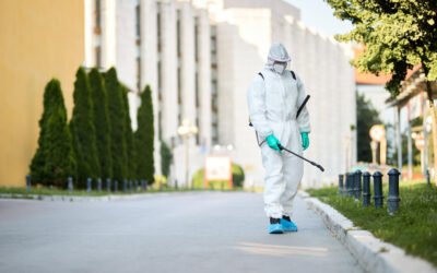 Derattizzazione a Milano e hinterland: segnali d’allarme e iter di intervento