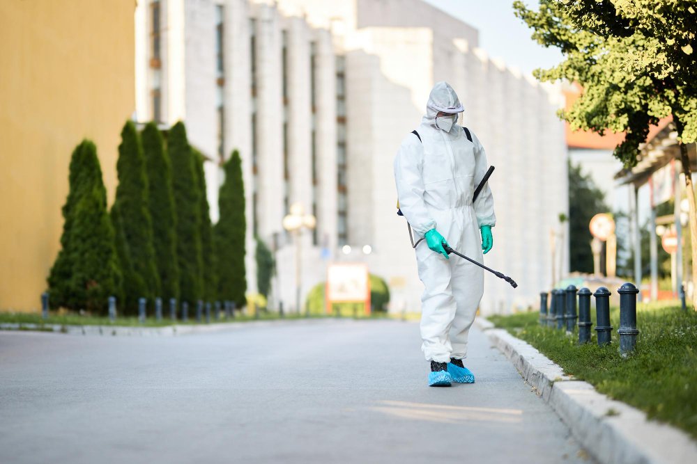 Derattizzazione a Milano e hinterland: segnali d’allarme e iter di intervento