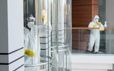 Pulizia degli ambienti logistici aziendali: capannoni, magazzini e uffici – cosa sapere