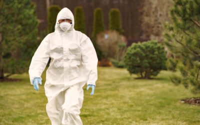 Disinfestazione domestica e aziendale: come riconoscere e gestire zanzare, formiche, scarafaggi e cimici in modo corretto