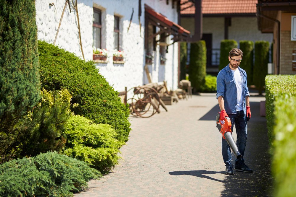 Manutenzione cortile condominiale