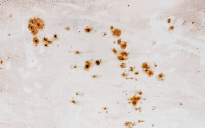 Perché il cotto tende ad assorbire le macchie e come prevenirlo