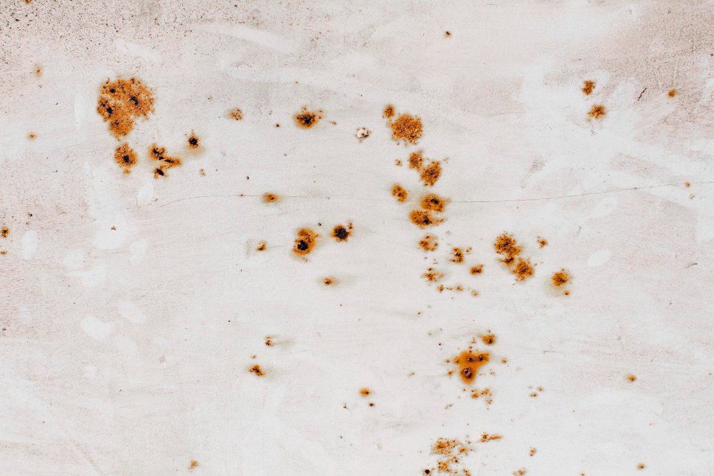 Perché il cotto tende ad assorbire le macchie e come prevenirlo