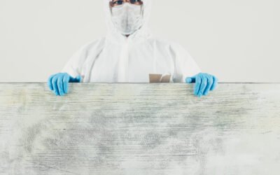 Trattamenti protettivi per superfici: quali fattori ne influenzano la durata