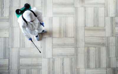 Efflorescenze saline sui pavimenti: perché compaiono e come intervenire senza rovinare le superfici